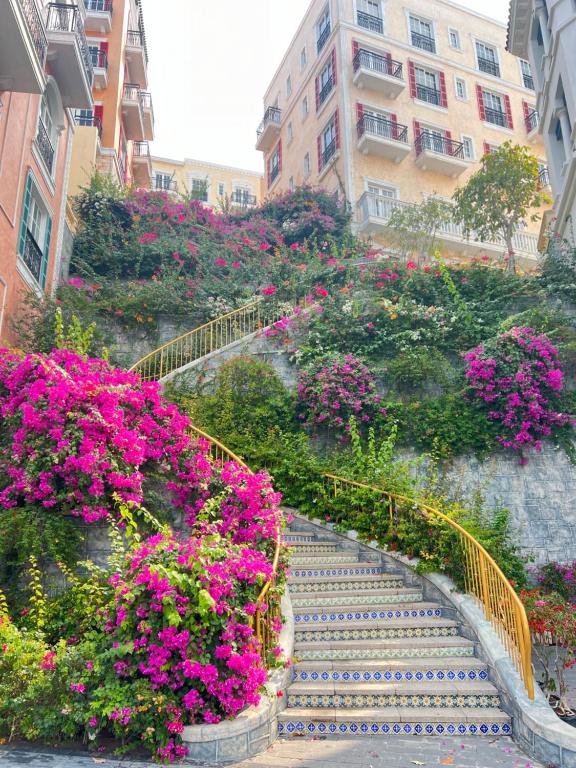 Oscar Seaview Apartment - 6