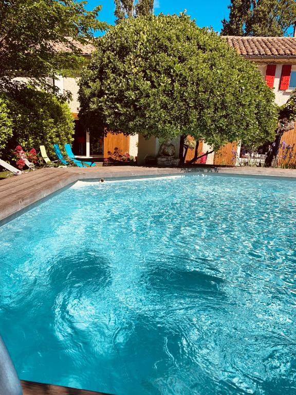 une grande piscine bleue avec un arbre en arrière-plan dans l'établissement l'Eden de Chris - Maison climatisée au milieu des vignes, à Loriol-du-Comtat