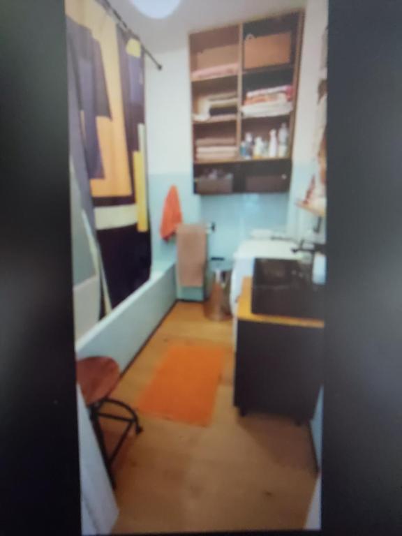 Cette chambre comprend une cuisine équipée d'un évier et d'un comptoir. dans l'établissement le Regina, à Antibes