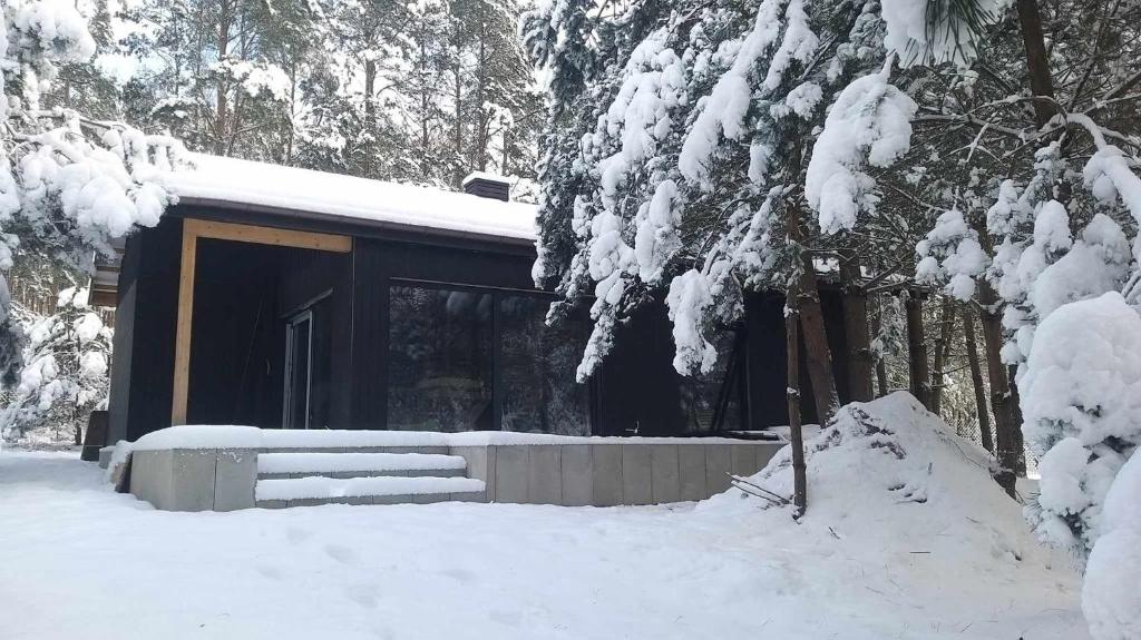 eine Hütte im Schnee mit schneebedeckten Bäumen in der Unterkunft Domek LEŚNICZÓWKA Gorzewo in Gorzewo
