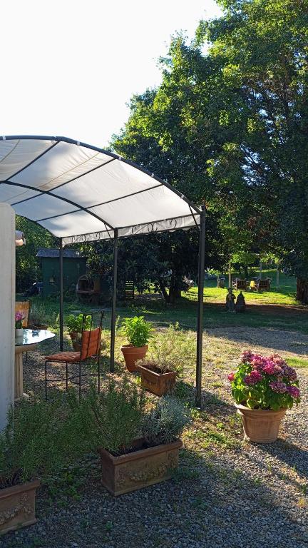 Zahrada ubytování B&B Cimamori