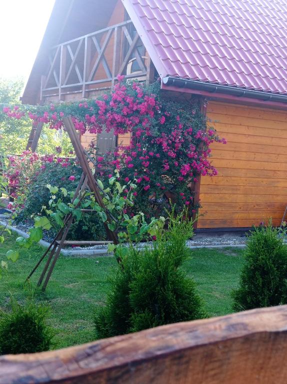 Domek letniskowy Pod Różami - Apartamento De Una Habitación
