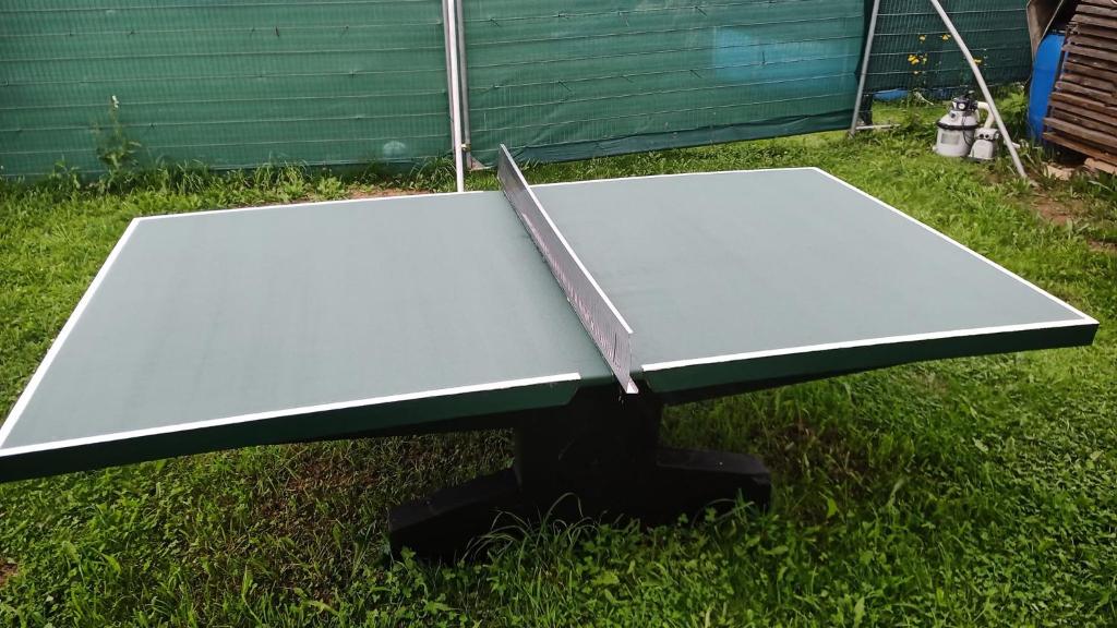 Stolní tenis v ubytování Chata Miki nebo okolí