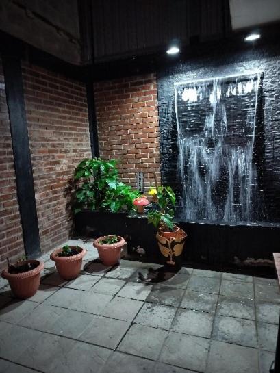 Fotografie z fotogalerie ubytování urban oasis v destinaci San Pedro Sula