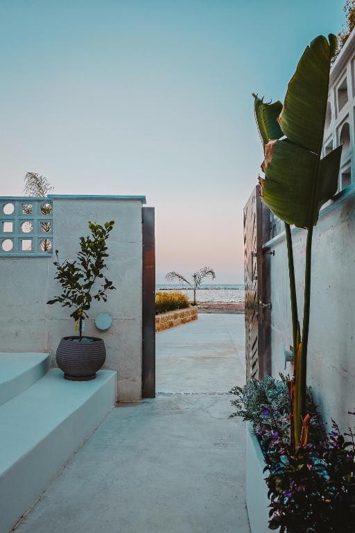 Fotografie z fotogalerie ubytování Q Coconuts Seaside Suites v destinaci Limassol