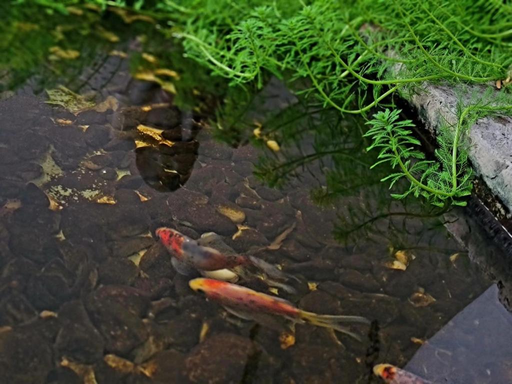 El Serafin Hotel Boutique - Housity