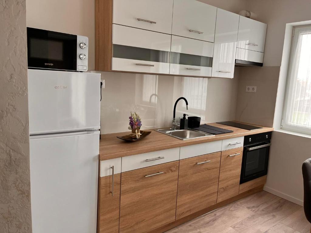 Kuchyňa alebo kuchynka v ubytovaní Gréta Lux Apartman