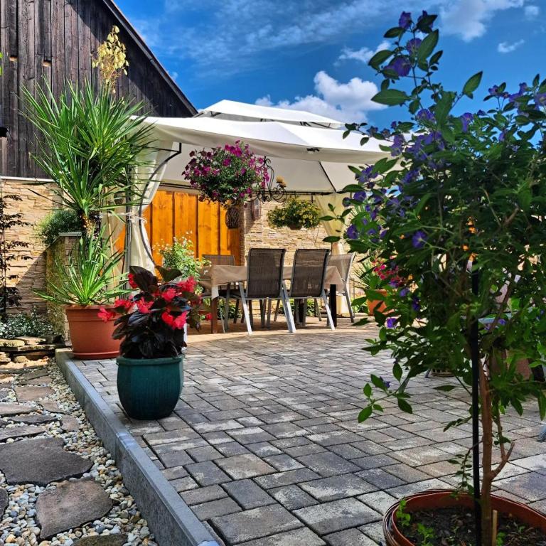 Zahrada ubytování Vila Harmónia