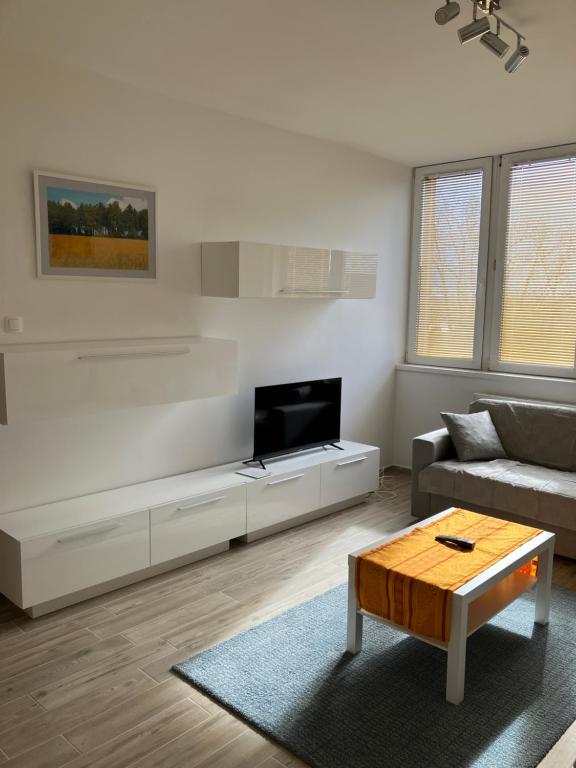 TV a/nebo společenská místnost v ubytování Primo Apartman