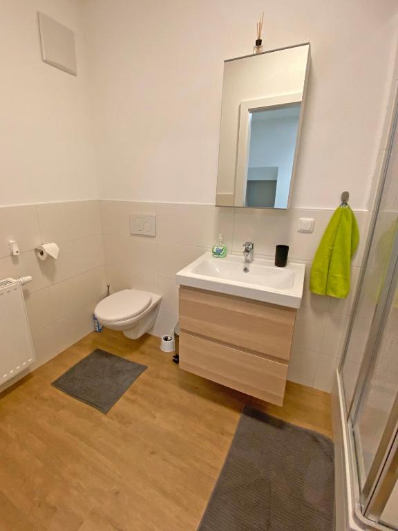 Koupelna v ubytování Ferien-Wohnung für 1-4 Pers in Seenähe