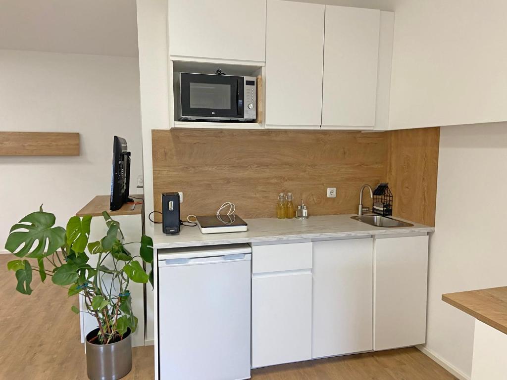 Kuchyň nebo kuchyňský kout v ubytování Ferien-Wohnung für 1-4 Pers in Seenähe