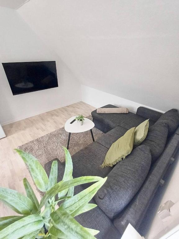 TV a/nebo společenská místnost v ubytování Cozy 1 bedroom apartment B