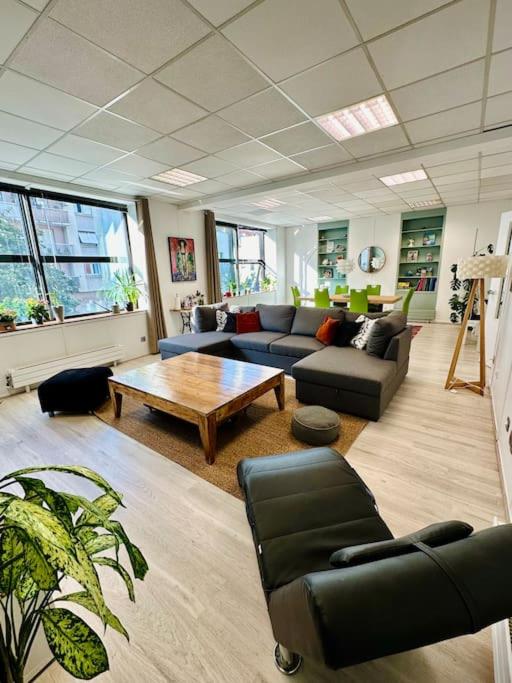 un salon avec des canapés et une table basse dans l'établissement Cosy duplex aux portes de Paris, à Issy-les-Moulineaux