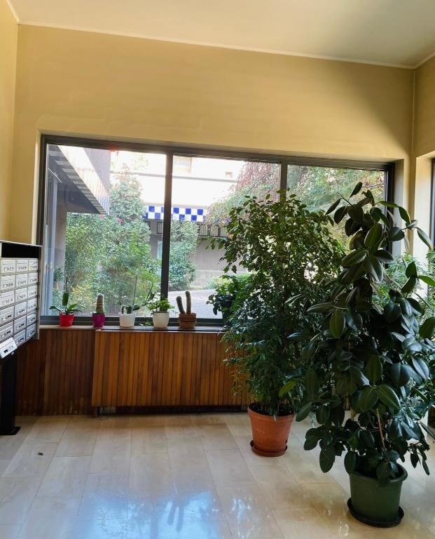 Ogród w obiekcie Lovely apartment in Gallarate