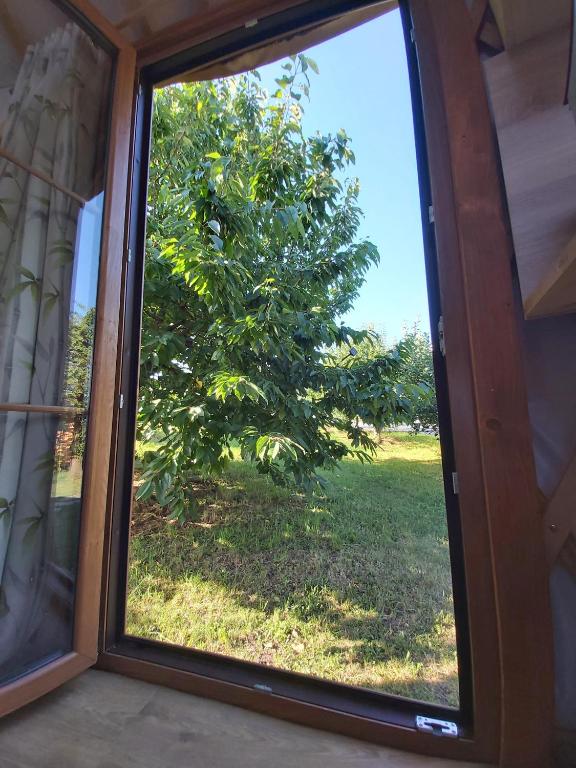Fotografie z fotogalerie ubytování Romantická jurta s wellness Pohoda Relax v destinaci Mladá Boleslav