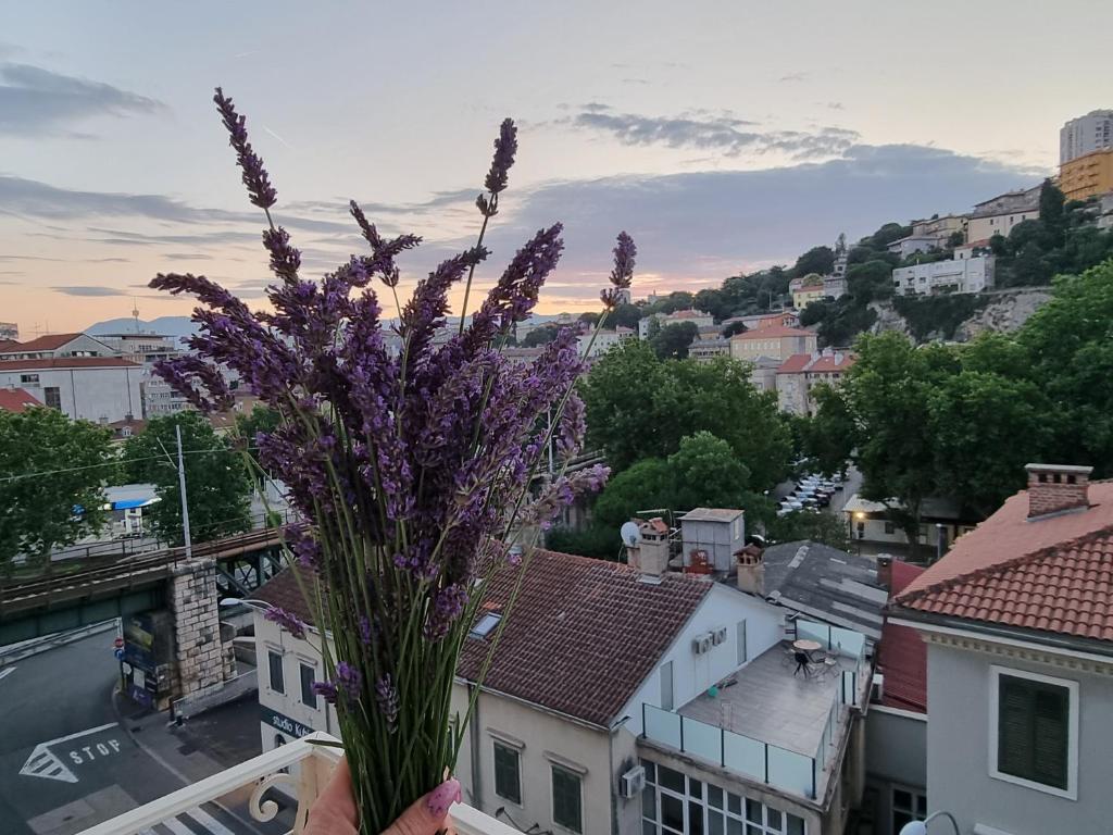 Výhľad na mesto Rijeka alebo výhľad na mesto priamo z apartmánu
