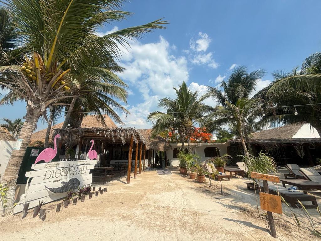 a resort on the beach with chairs and palm trees at La Diosa Kali Beach Front Hotel in Holbox Island