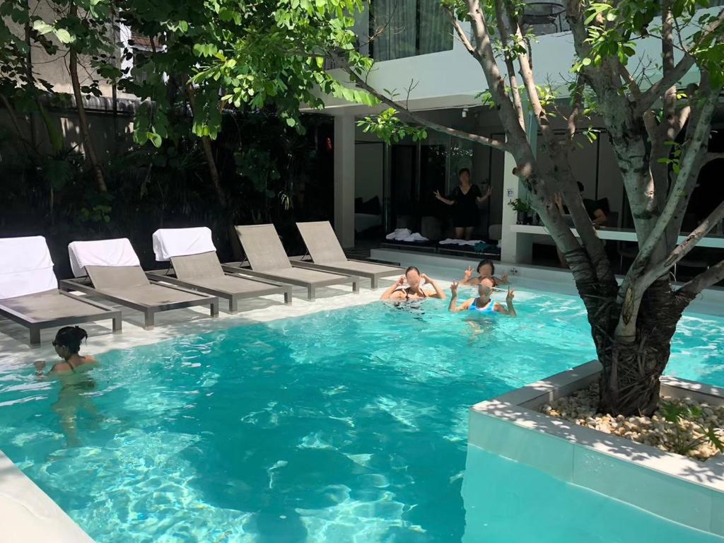 Guests using a tree-lined pool beside a row of shaded loungers.