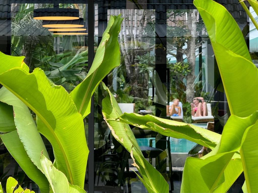 POR Singharat - Resim 7