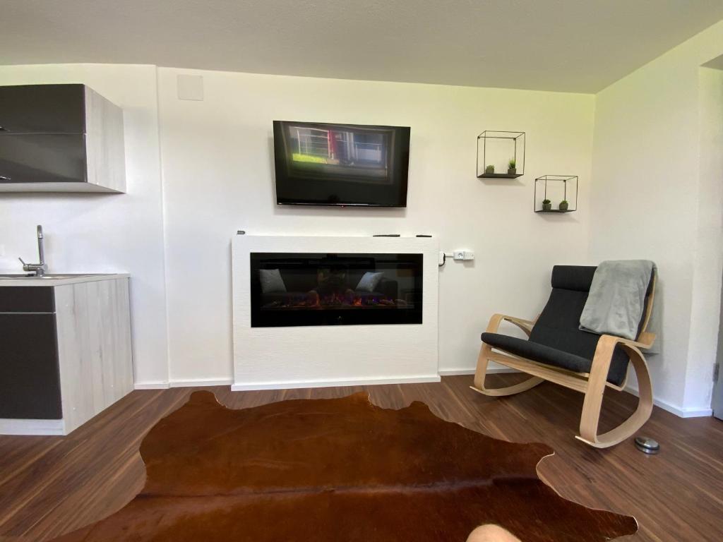 TV a/nebo společenská místnost v ubytování Apartment Business