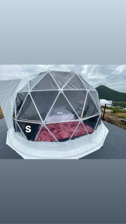 Příroda nedaleko luxury tent