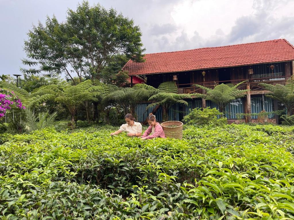 En have udenfor Tea Garden House