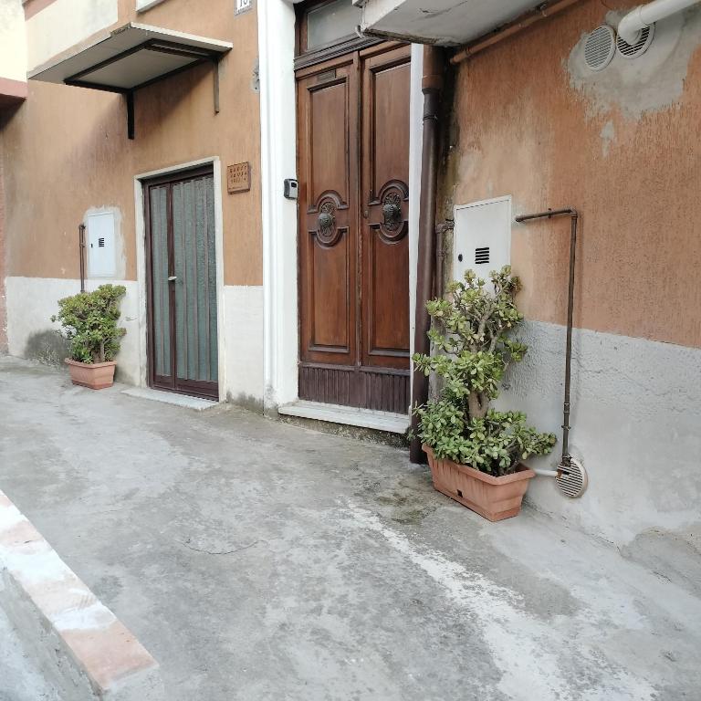 a door of a building with two potted plants in front at La Guest House di Trisin in SantʼArcangelo