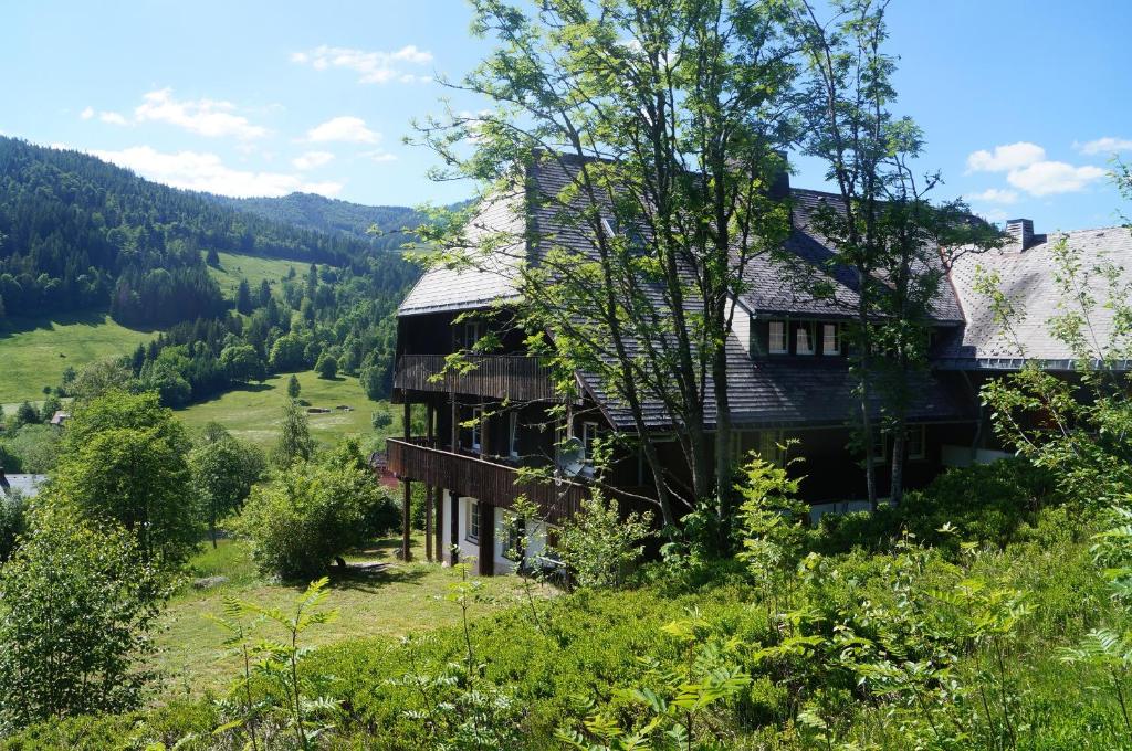 a house on the side of a hill with trees at Familien-Sportappartements Wetzel in Menzenschwand