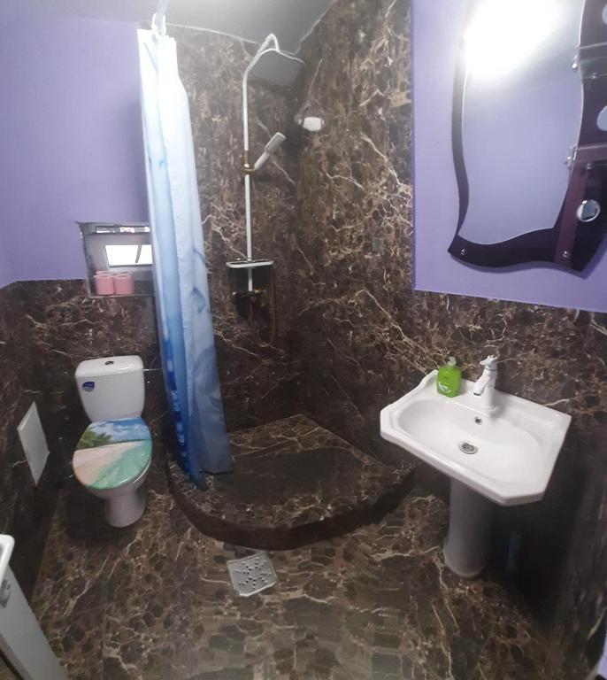 a bathroom with a sink and a toilet and a shower at Casa Vio in Eforie Nord