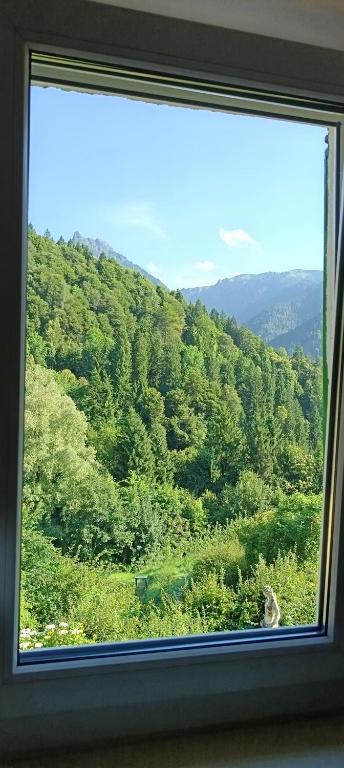 Paesaggio naturale nelle vicinanze del bed & breakfast
