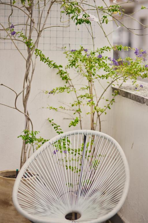 Reyes Católicos - Resim 21