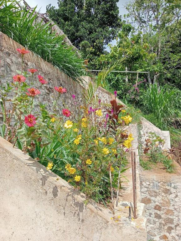 Tiu Kelep Homestay - 12