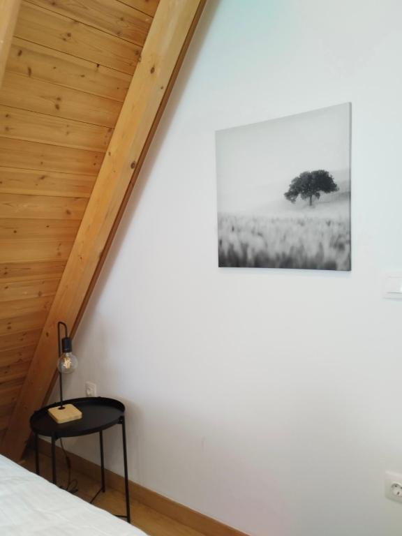 Marelia Urban - Resim 25