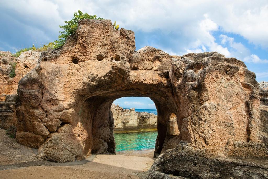 Φυσικό τοπίο κοντά σε αυτό το διαμέρισμα