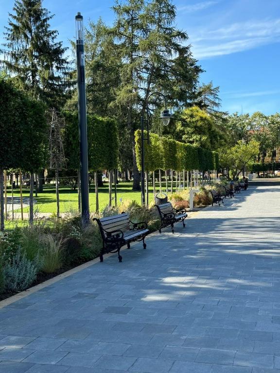 Hotel Aurora - Resim 28