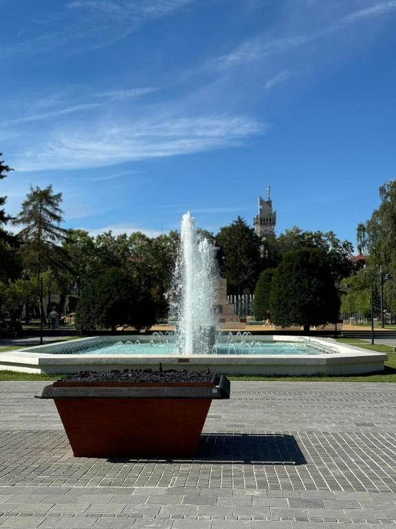 Hotel Aurora - Resim 29