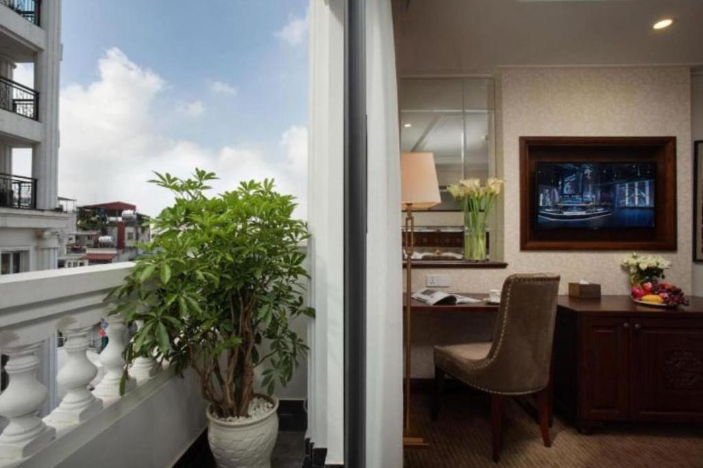 Suite Executive