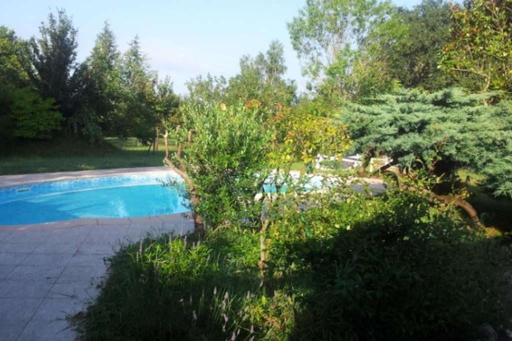 une piscine dans un jardin avec un arbre dans l'établissement Ferme Les Serieges, à Villenouvelle