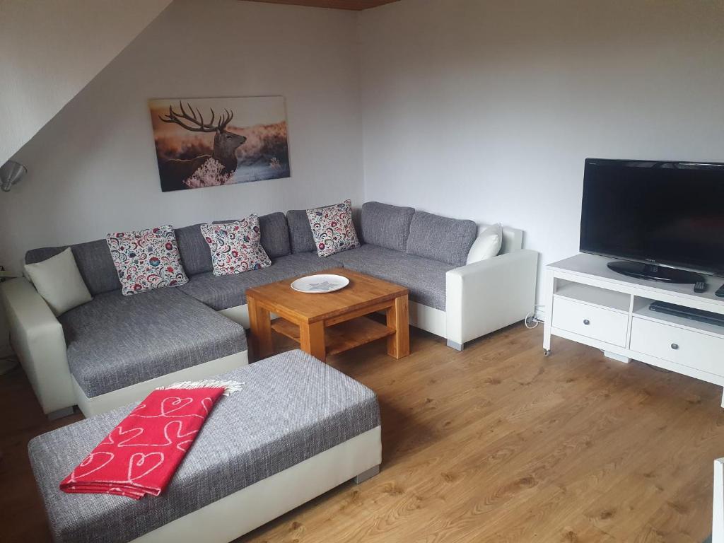 a living room with a couch and a tv at CrisAnd 5 Anjofina in Altenau