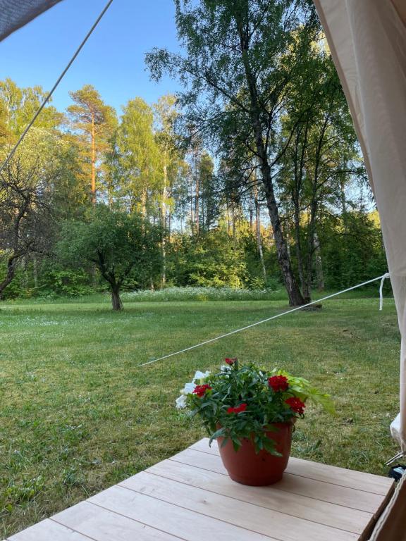 Zahrada ubytování Veskimäe Muhu Island