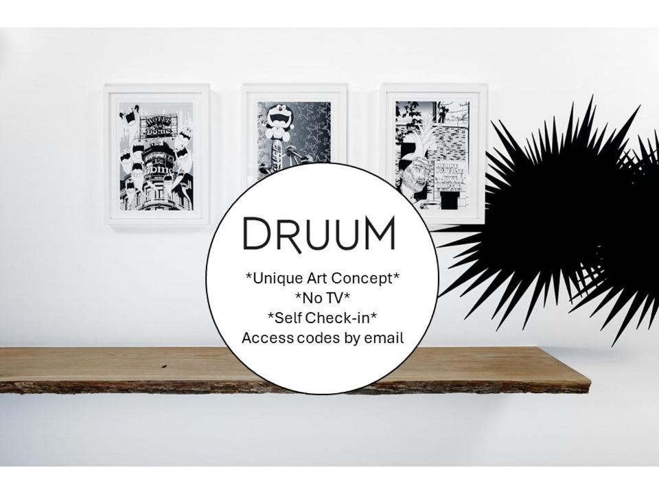 Fotografie z fotogalerie ubytování B&B DRUUM v Bruselu