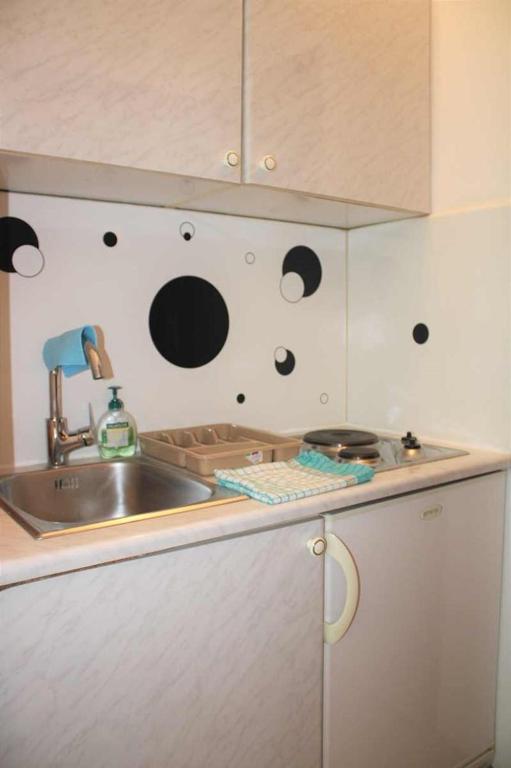 Kuchyň nebo kuchyňský kout v ubytování Apartments Pidi