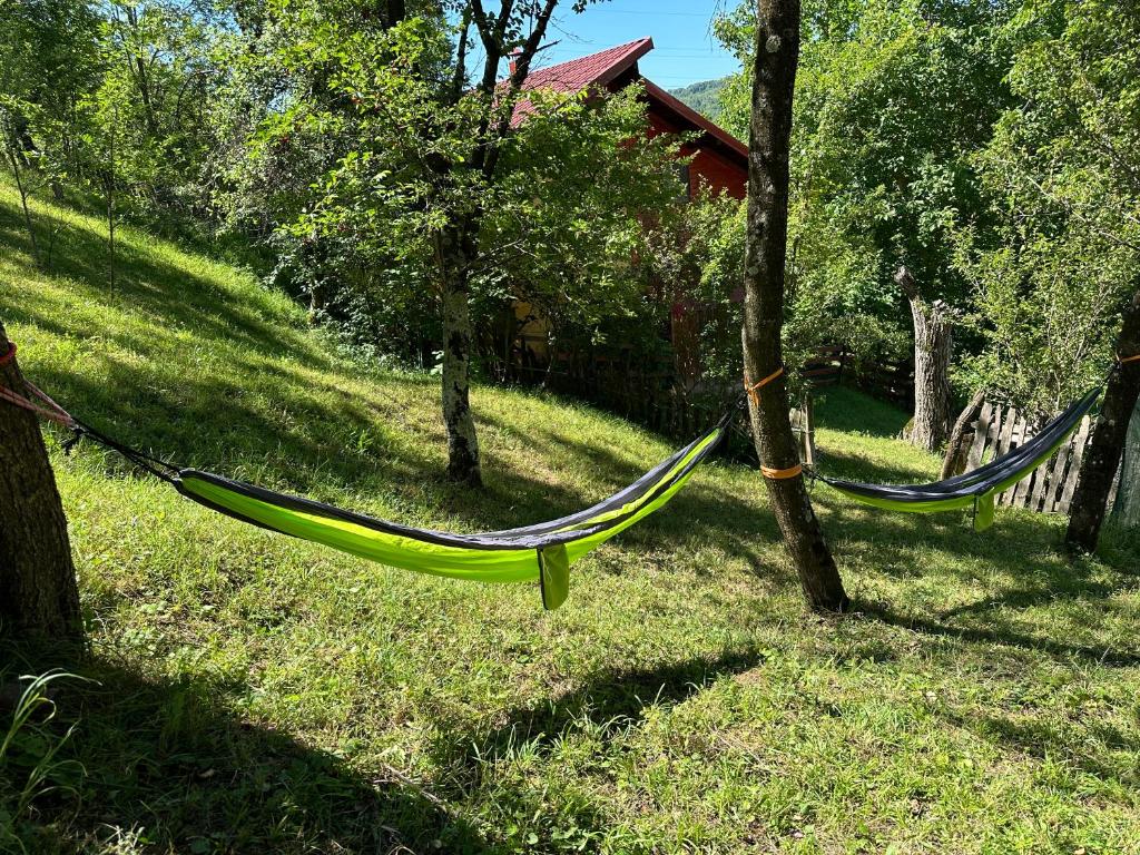 Zahrada ubytování Casa Lupilor Transfăgărășan