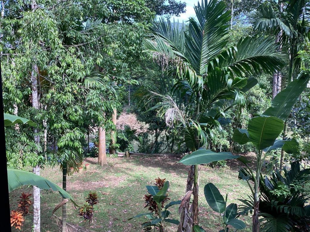 Khlong sok camp - Family Room