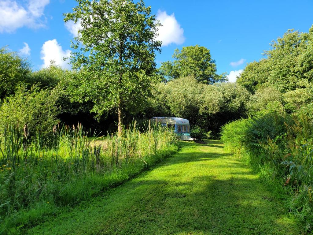 a field of grass with a bus in the distance at Budget stay, in lovely private setting with rustic charm, log burner, fire pit, campers kitchen & Eco Loo NO BEDDING SUPPLIED in Narberth