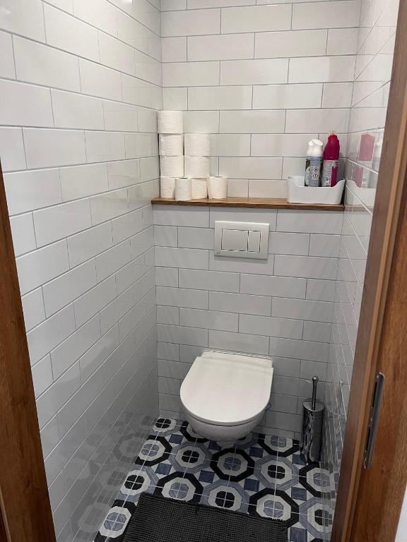 Koupelna v ubytování Apartman 7 Plesivec