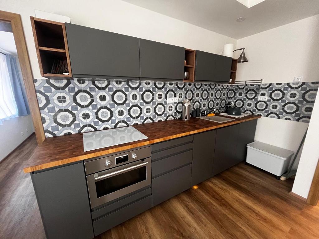 Kuchyň nebo kuchyňský kout v ubytování Apartman 7 Plesivec