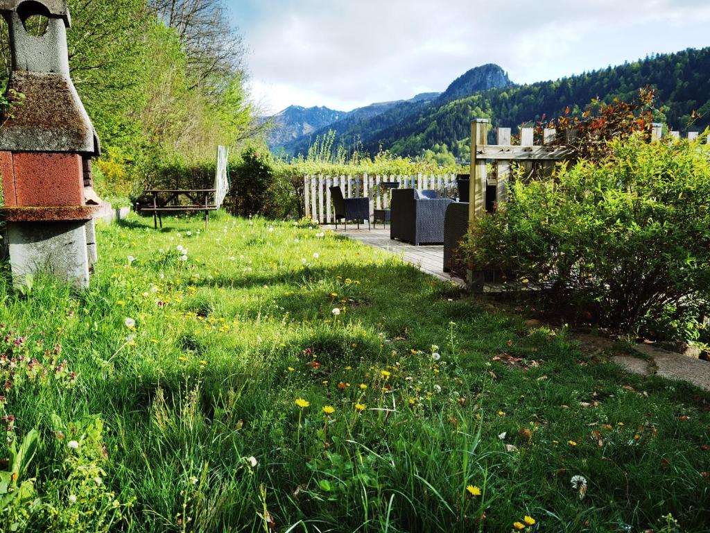 a field of grass with a bench in the distance at Les Camélias in Le Mont-Dore