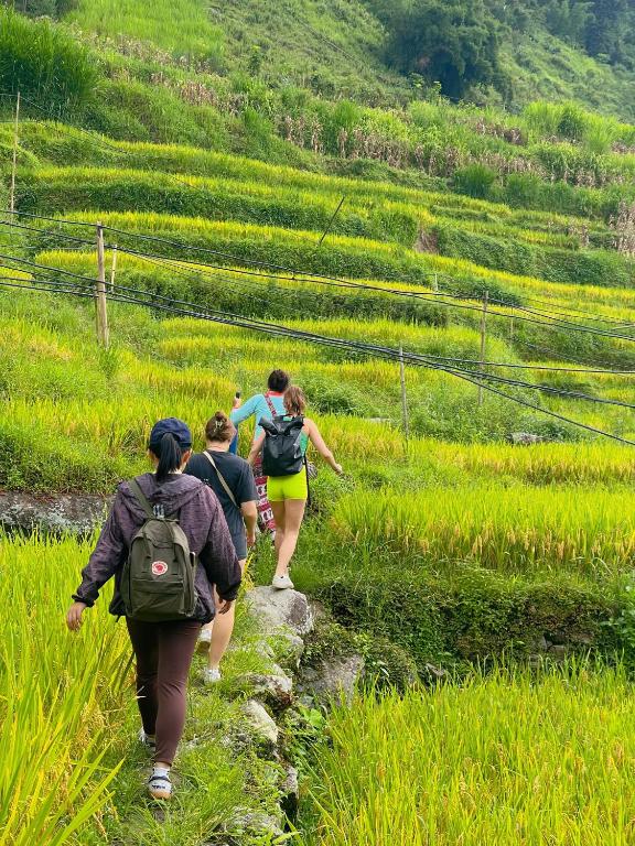 Phong cảnh thiên nhiên gần chỗ nghỉ nhà dân