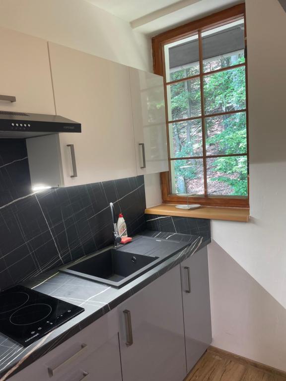 Kuchyň nebo kuchyňský kout v ubytování Apartmány Telnice - Medorhof